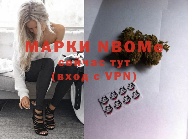 дмт Алзамай
