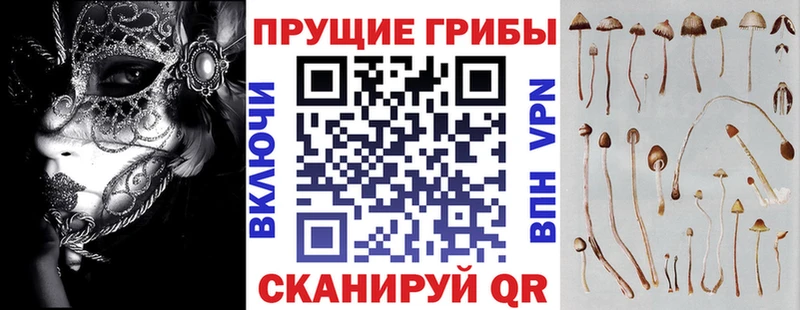 Галлюциногенные грибы MAGIC MUSHROOMS  купить  сайты  Чехов 